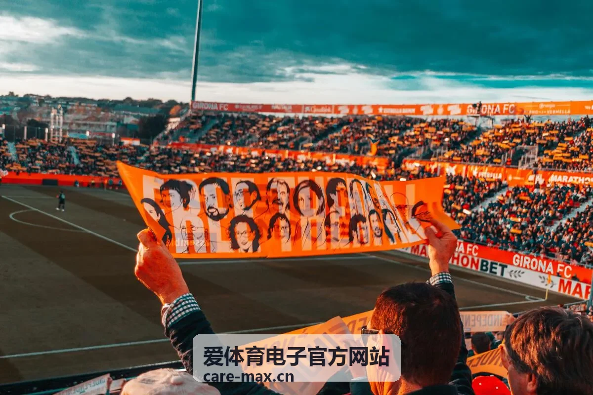爱体育电子官方网站场馆电子系统安装与调试